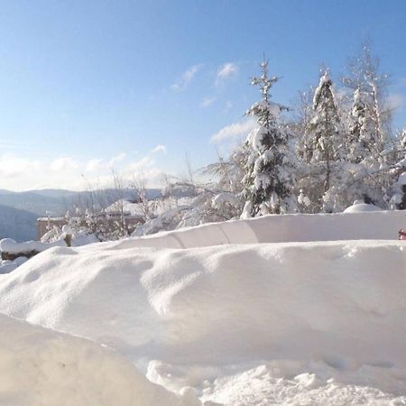 Laptitevosgienne Vue Lac A Gerardmer ! 외부 사진