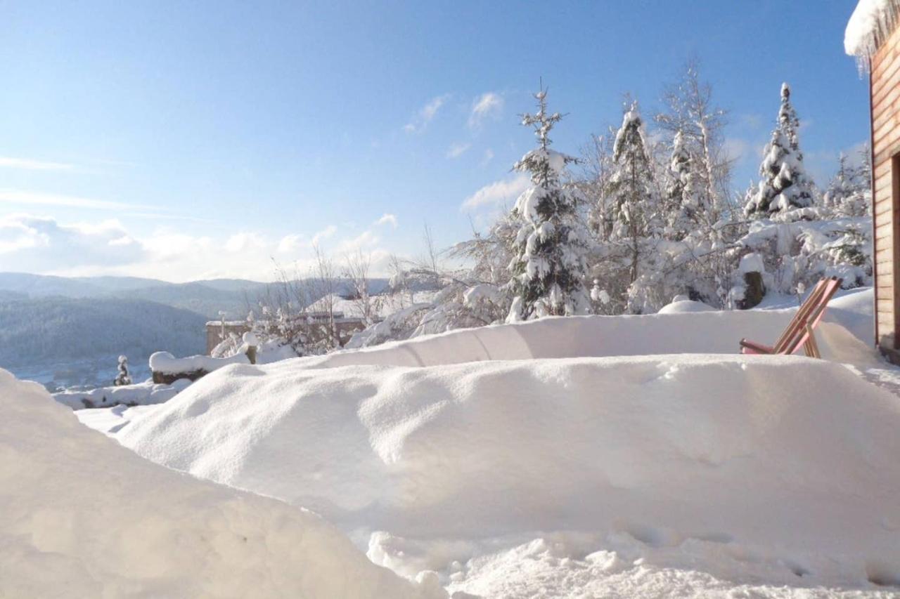 Laptitevosgienne Vue Lac A Gerardmer ! 외부 사진